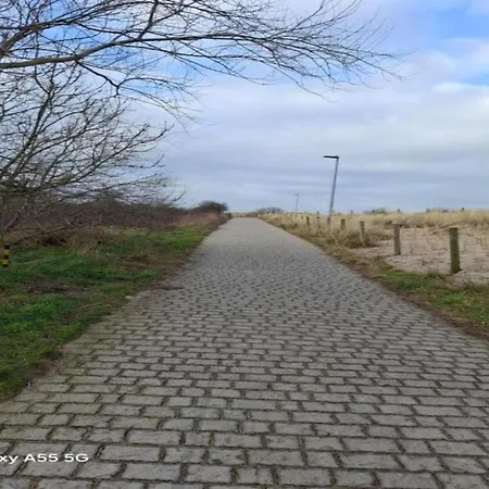 Sunlit Near * ニーウポールト