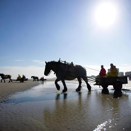 Sunlit Near * ニーウポールト