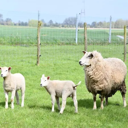 Sunlit Near Lägenhet
