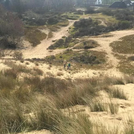 Sunlit Near アパート ニーウポールト