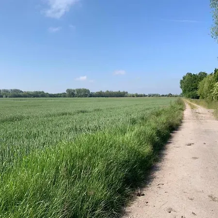 Sunlit Near Nieuwpoort