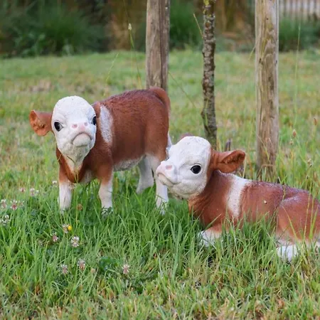 Sunlit Near Lägenhet *