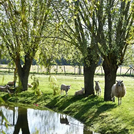 Sunlit Near アパート