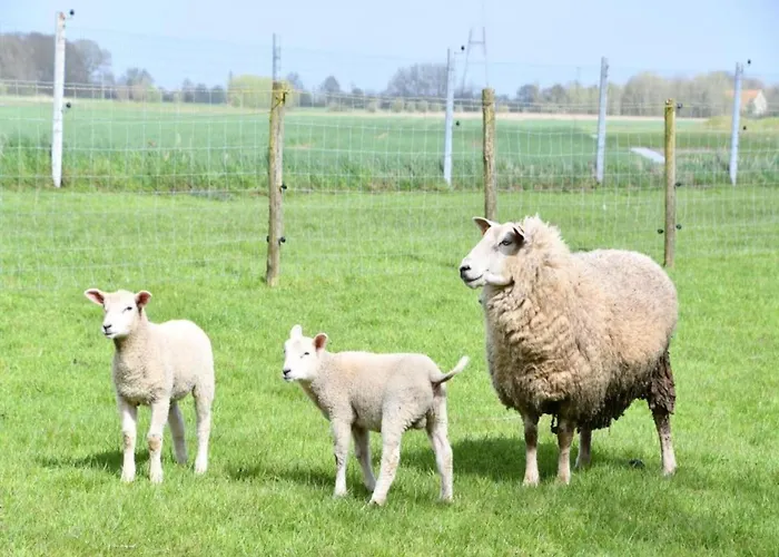 Sunlit Near Διαμέρισμα