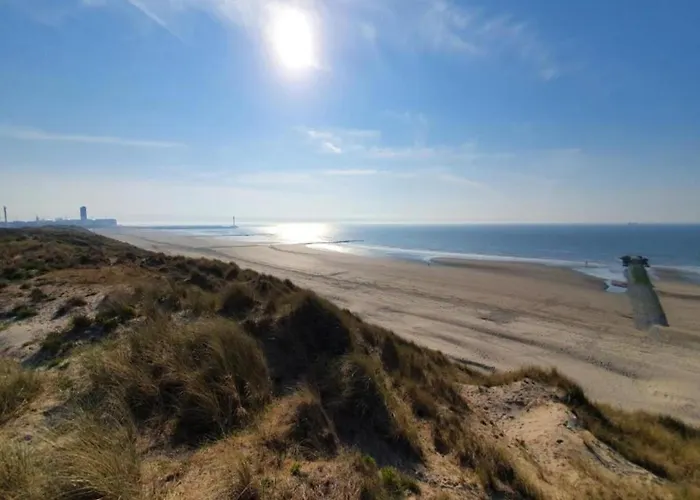 Sunlit Near Διαμέρισμα