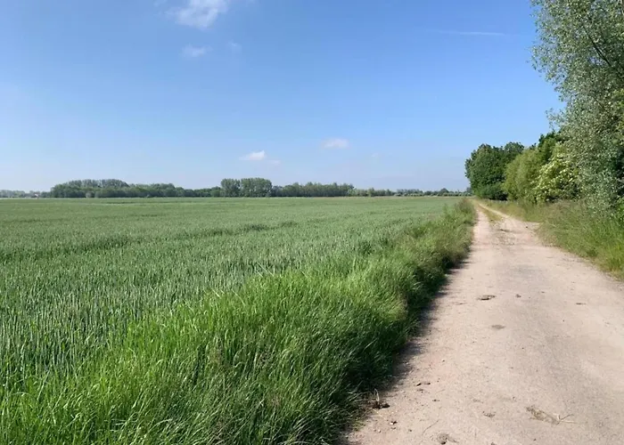 Sunlit Near Nieuwpoort