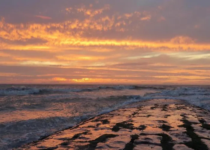 Διαμέρισμα Sunlit Near *