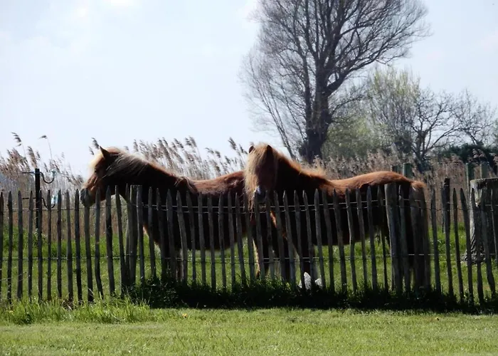Διαμέρισμα Sunlit Near *