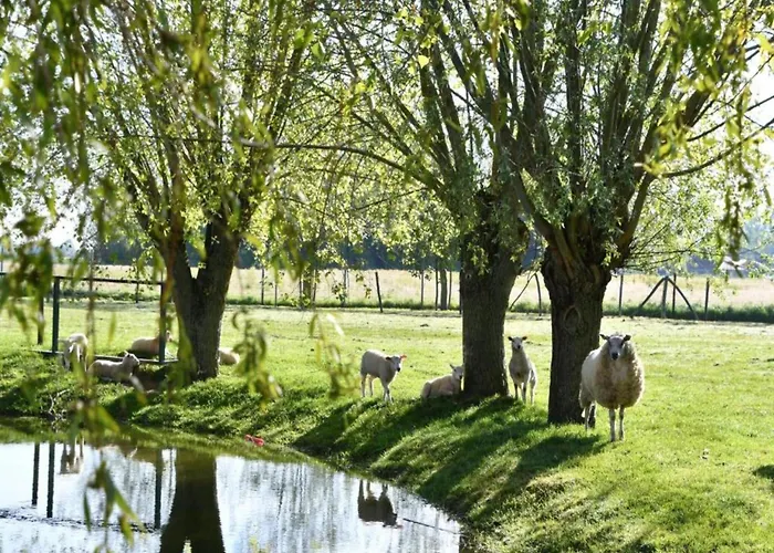 Sunlit Near Διαμέρισμα