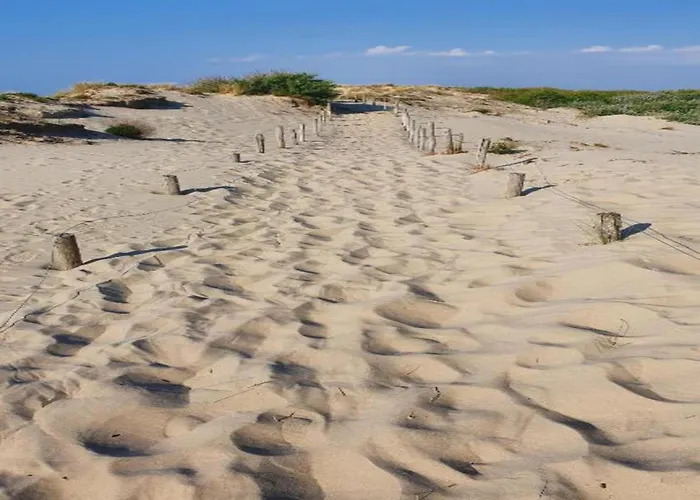 Sunlit Near Διαμέρισμα